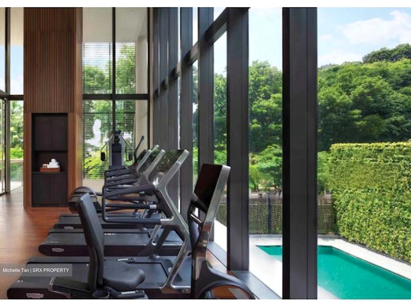 Hana (D10), Condominium #461434171